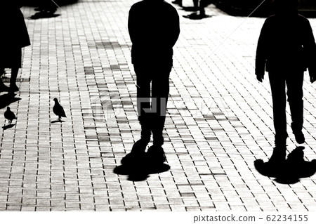 Silhouette of a pigeon floating in backlight, Yamashita Park in Yokohama, Kanagawa, Japan Silhouette of a pigeon floating in backlight, Yamashita Park in Yokohama, Kanagawa, Japan 62234155