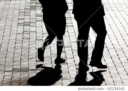 在神奈川縣橫濱的山下公園在背光中漂浮的鴿子的輪廓 62234161