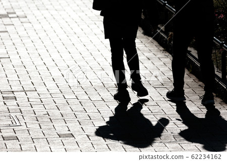 在神奈川縣橫濱的山下公園在背光中漂浮的鴿子的輪廓 62234162