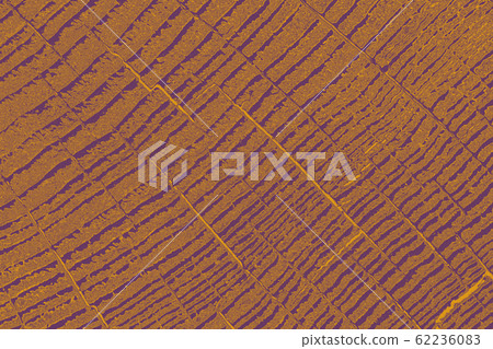 Cut tree stump surface as a background Cut tree stump surface as a background 62236083