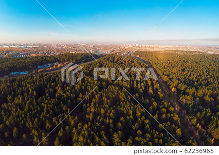 Aerial view of winter forest. 62236968
