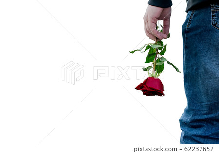 View of the red rose flower in the hand of the guy on the white background. Separation, resentment, quarrel, dislike, unloved 62237652