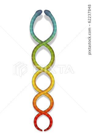 Rainbow colored embracing snakes. Kundalini serpents, esoteric symbol for spiritual power and balance, awakening and harmony. Isolated vector illustration on white background. 62237848