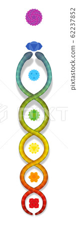 Kundalini serpent ascending along the seven main chakras. Symbol for spiritual power and balance, awakening, harmony and relaxation. Vector illustration on white. 62237852