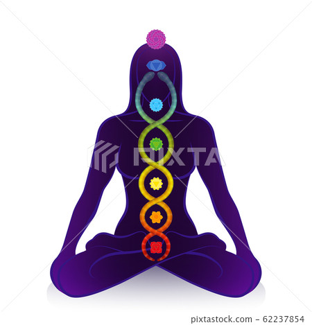 Kundalini serpent and chakras of a meditating woman, symbol for spiritual awakening, healing power and balance, celestial harmony and relaxation. Vector illustration on white. 62237854