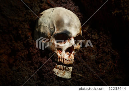 Skull of a dead man in on the ground 62238644