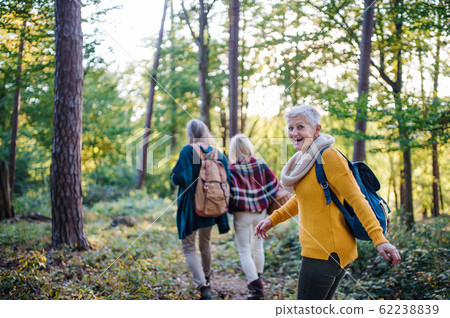 Senior women friends walking outdoors in forest. 62238839