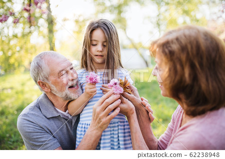 Senior grandparents with small granddaugther sitting outside in spring nature. 62238948