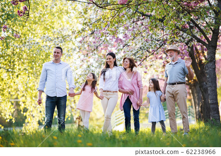 Three generation family walking outside in spring nature. 62238966