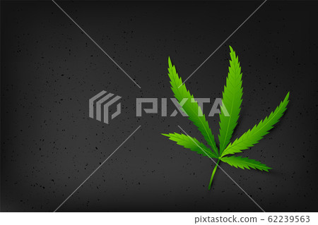 Template poster with realistic cannabis 62239563