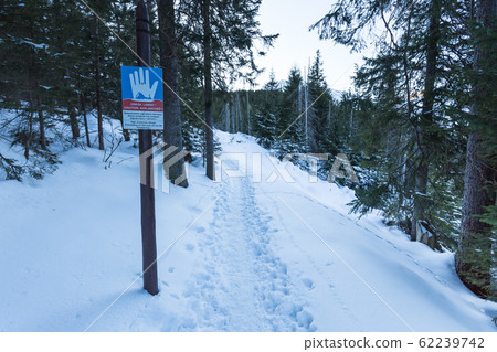 Avalanche warning sign saying Danger of Avalanches Avalanche warning sign saying Danger of Avalanches 62239742