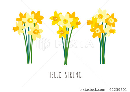 Vector set of positive floral illustrations isolated on white background. Early spring garden flowers. Yellow daffodils bouquet. Greeting card template, festive poster, banner. Handwritten lettering Vector set of positive floral illustrations isolated on white background. Early spring garden flowers. Yellow daffodils bouquet. Greeting card template, festive poster, banner. Handwritten lettering 62239801