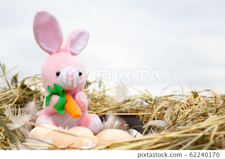 a small plush rabbit in a nest with Easter eggs, a a small plush rabbit in a nest with Easter eggs, a 62240170