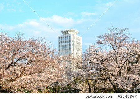 Vernie Park Yokosuka City Scenery in Shioi Town Vernie Park Yokosuka City Scenery in Shioi Town 62240867