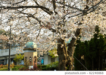 Vernie Park Yokosuka City Scenery in Shioi Town Vernie Park Yokosuka City Scenery in Shioi Town 62240868