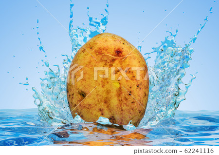 Potato with water splashes, 3D rendering 62241116