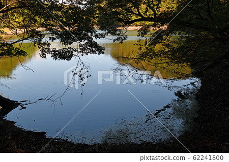 Train trip Gono line Twelve lakes Chicken pond Train trip Gono line Twelve lakes Chicken pond 62241800