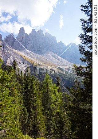the mountain landscape the mountain landscape 62242101