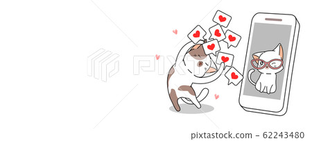 Cute cat is happy to see  the other cat in social media 62243480