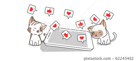 Cute couple cat is playing social media via smart phone 62243482
