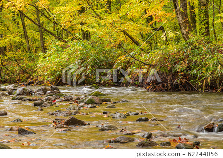 Autumn forest Yoshiyama 62244056