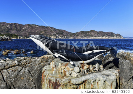 Whale, Jangho Port, Samcheok, Gangwon-do, South Korea 62245503