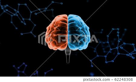 Brain Brain Brain Head Head Head Medical Science 3D Illustration CG Background Brain Brain Brain Head Head Head Medical Science 3D Illustration CG Background 62248308