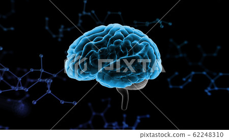 Brain Brain Brain Head Head Head Medical Science 3D Illustration CG Background Brain Brain Brain Head Head Head Medical Science 3D Illustration CG Background 62248310
