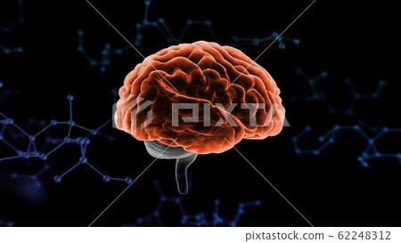 Brain Brain Brain Head Head Head Medical Science 3D Illustration CG Background Brain Brain Brain Head Head Head Medical Science 3D Illustration CG Background 62248312