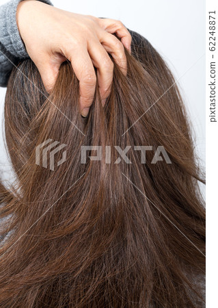 [Middle gray hair] 62248871