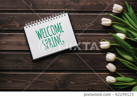 White flowers tulips on wooden brown table boards. Greeting card with lettering Welcome Spring White flowers tulips on wooden brown table boards. Greeting card with lettering Welcome Spring 62249123