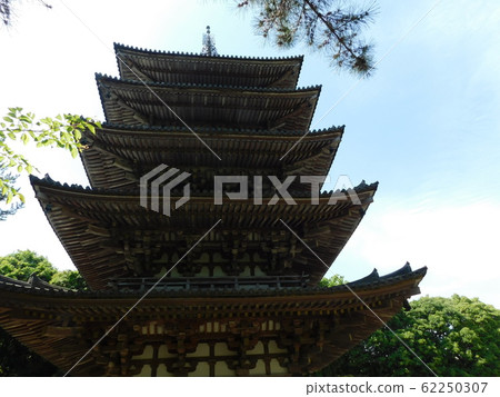 Daigoji Five-storied Pagoda (National Treasure) Daigoji Five-storied Pagoda (National Treasure) 62250307