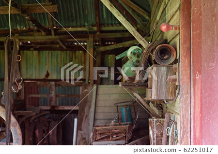Vintage Farm Tools 62251017