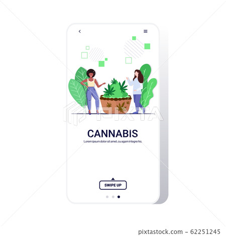mix race women near cookie made with marijuana cannabis cupcake medicinal edibles drug consumption concept flat full length smartphone screen mobile app copy space mix race women near cookie made with marijuana cannabis cupcake medicinal edibles drug consumption concept flat full length smartphone screen mobile app copy space 62251245