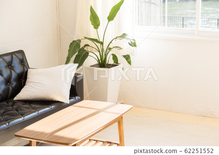 One room living One room living 62251552