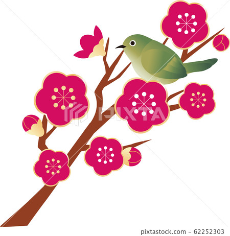 Uguisu mejiro鳥鳥春天梅花開花 62252303