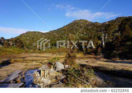 Yakushima Hananoegawa Wetlands and Kuromidake Yakushima Hananoegawa Wetlands and Kuromidake 62252848