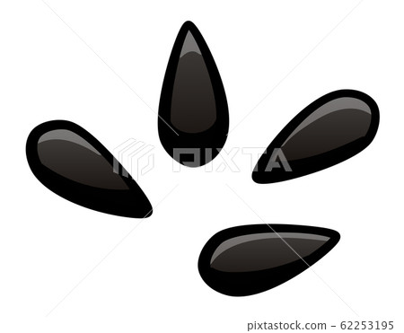 Cartoon style sunflower seeds on white background 62253195