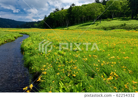 Okie blooming Oze · Ooe river 62254332