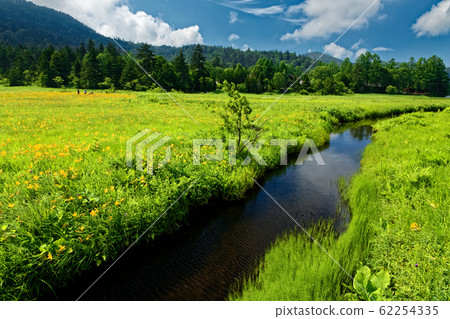 Okie blooming Oze · Ooe river 62254335