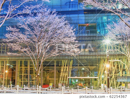 Sendai Mediatheque and Zezenji-dori Keyaki Row Sendai Mediatheque and Zezenji-dori Keyaki Row 62254367