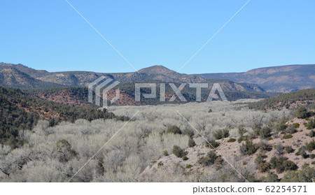 Beautiful winter view of the Cottonwood Trees and valley at Carrizo in the Salt River Canyon, Gila County, Apache Indian Reservation, Eastern Arizona USA 62254571