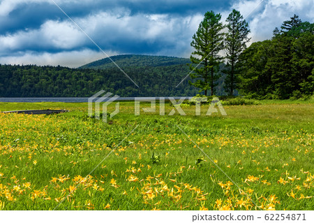 Oze / Oe Wetland in Summer, where Nikko sedge blooms Oze / Oe Wetland in Summer, where Nikko sedge blooms 62254871
