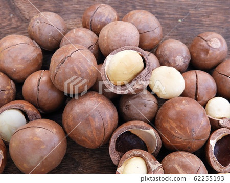 Macadamia nuts 2 Macadamia nuts 2 62255193