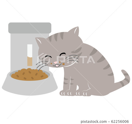 Cat eating food with automatic feeder Cat eating food with automatic feeder 62256006