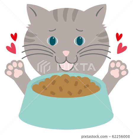 Cats happy with cat food 62256008