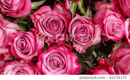 Colorful Paper Flowers Wall Background. Stock Photo, Picture and