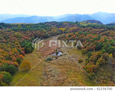 兵庫縣Ya部市杉澤高原的秋天風景 兵庫縣Ya部市杉澤高原的秋天風景 62256700