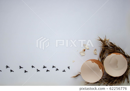 Already hatched brown eggs in nest Broken egg shells, the bird has born 62256776