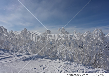 留壽都度假村滑雪場 62257920